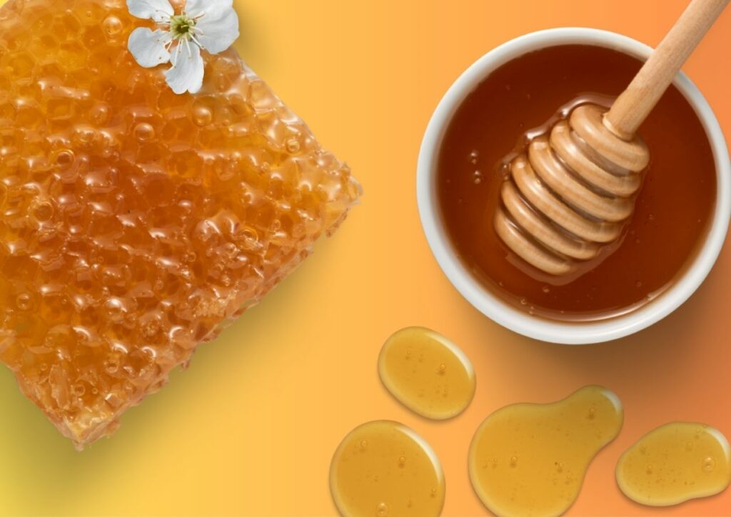 Honey tasting at the Tourist Office