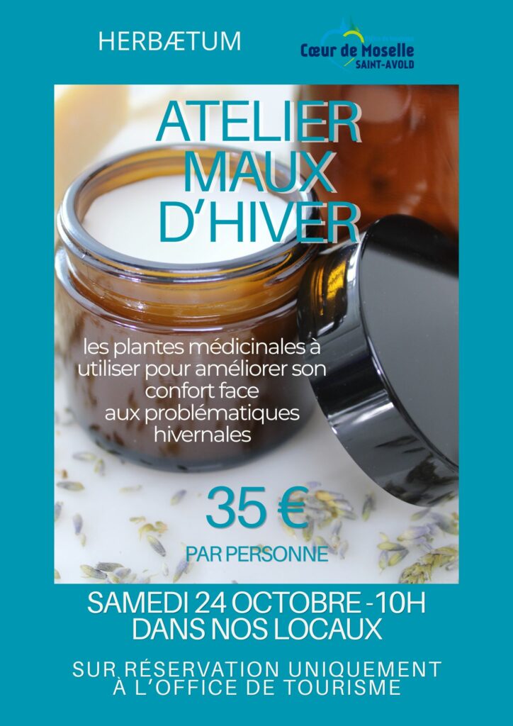 NOUVEAUTÉ : ateliers plantes 2026